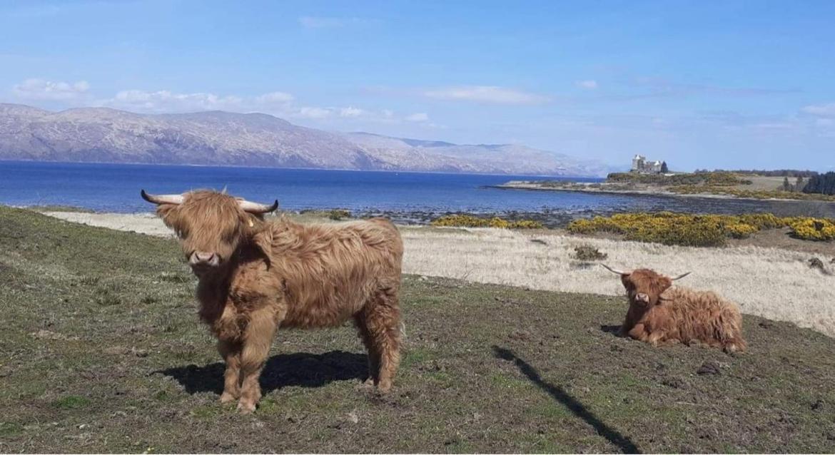Ard Na Mara Self Catering Isle Of Mull Villa Dervaig ภายนอก รูปภาพ